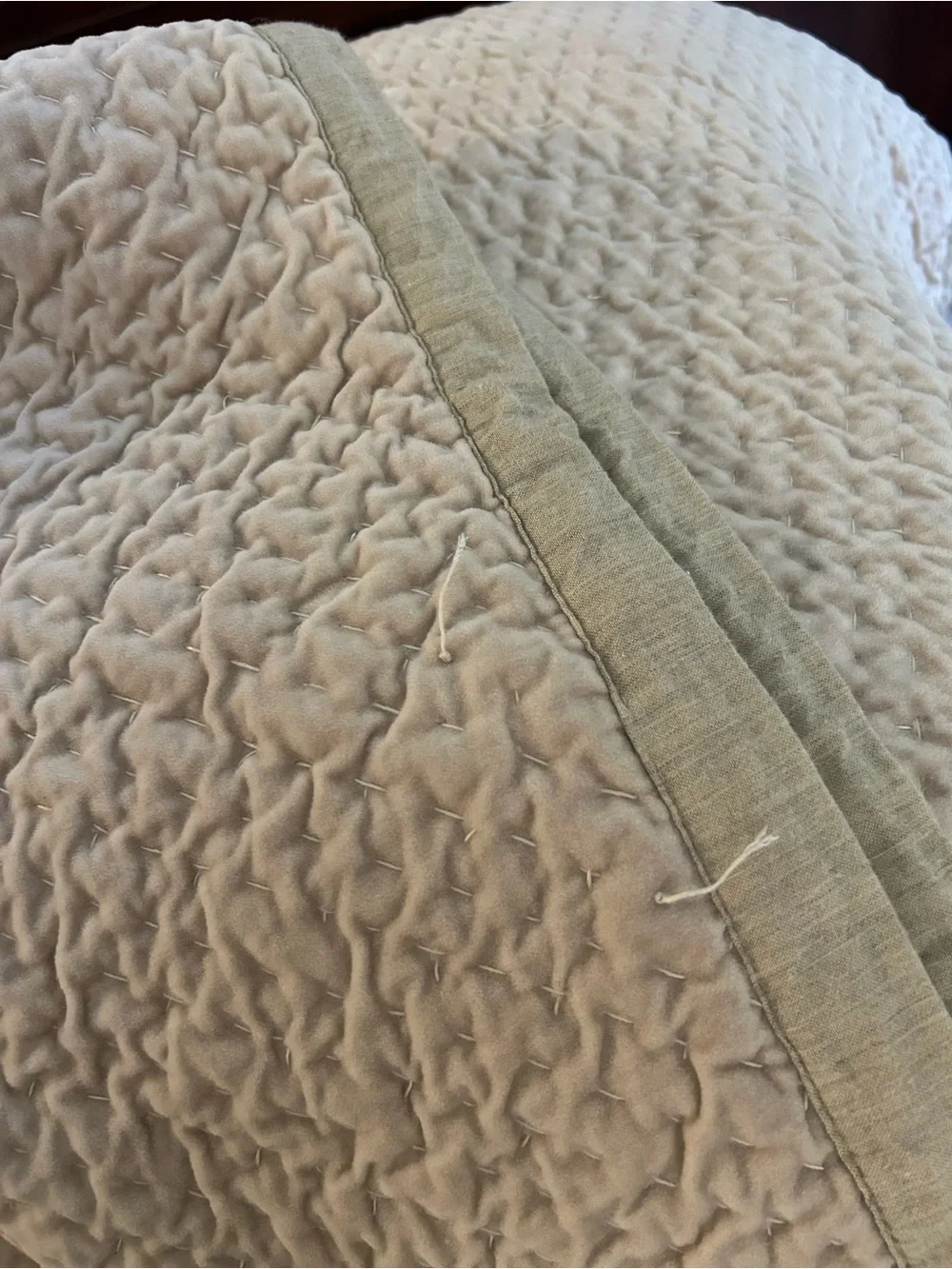 Pottery Barn Velvet Cross Stitch King quilt  parchment